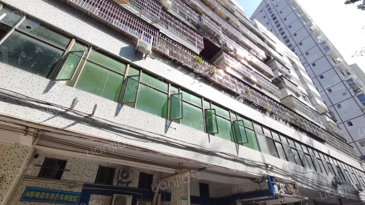 花城阁花园外景图