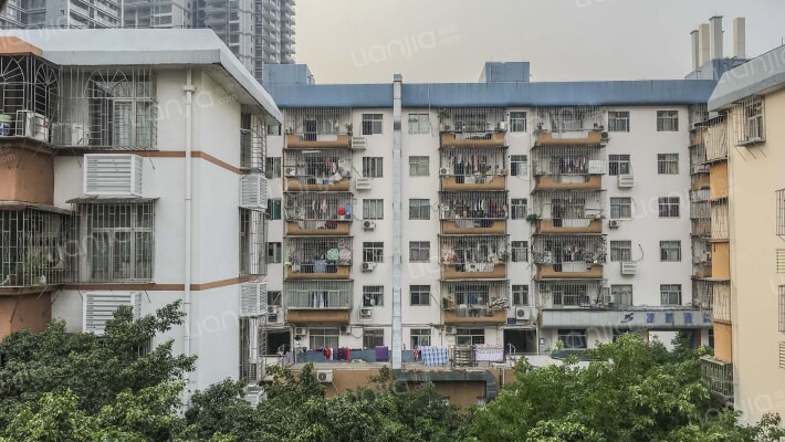 红桂二街23号大院外景图