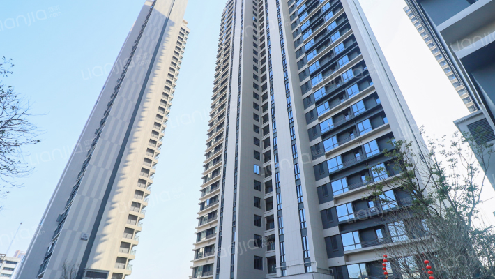 新力弘阳府外景图