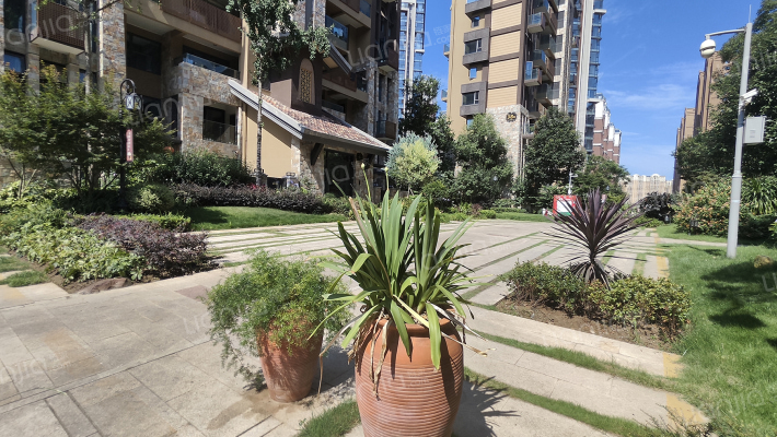 星岛星时区外景图