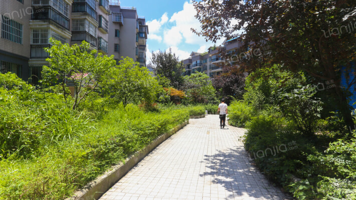 绿苑小区雅然居东区外景图