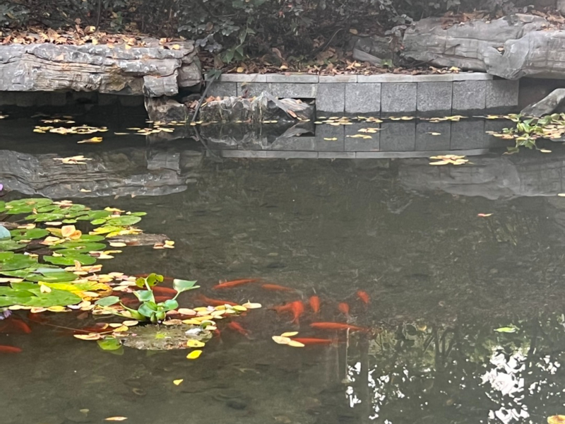 合景映月台小区实景 5