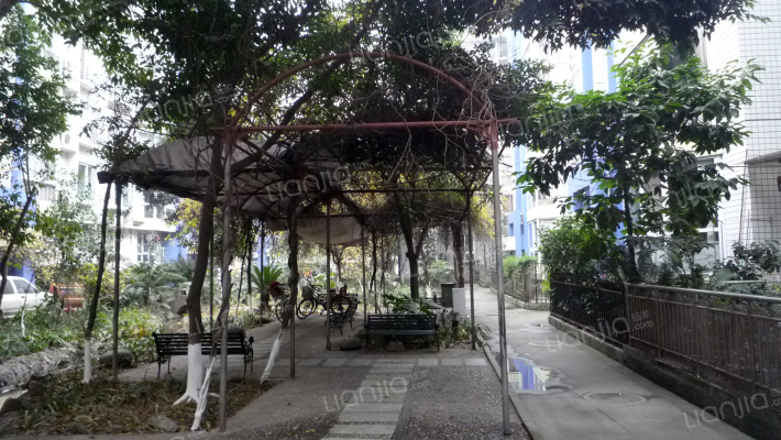 自由星城一期外景图