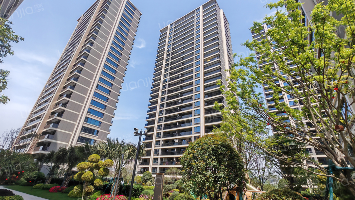 滨江钱江翠语彩虹里外景图