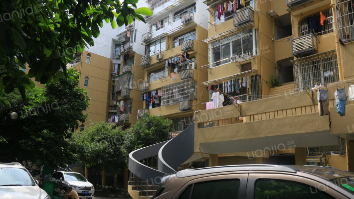 大关南九苑外景图