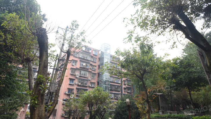 锦湖雅苑外景图