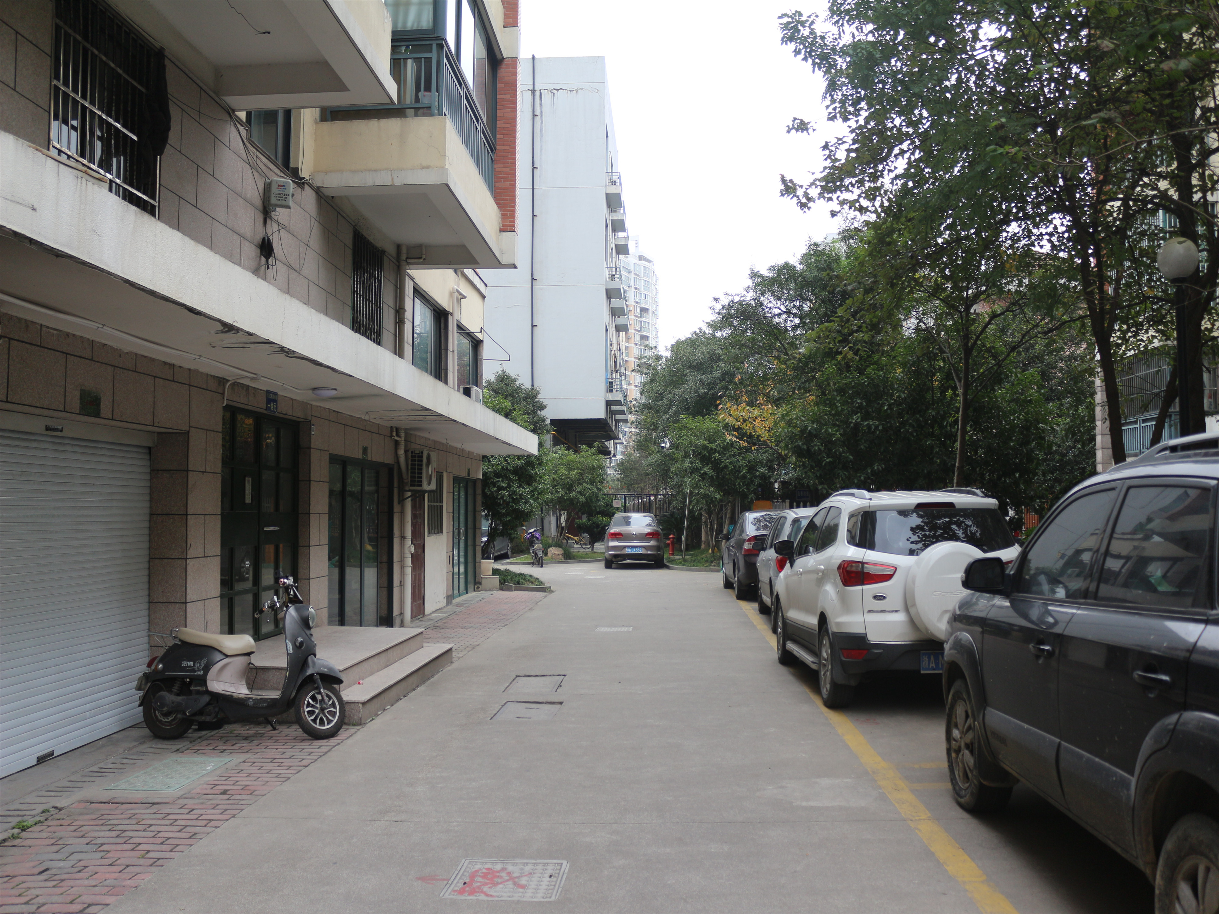Changdao Zhichun compound photo 16