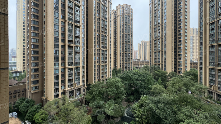 龙城国际四期外景图