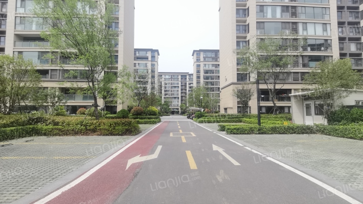 锦鲤花园外景图