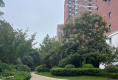 建屋哈佛公园户型图实景图