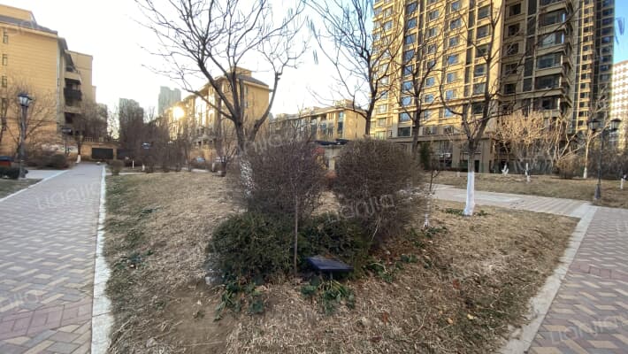 凤凰水城外景图