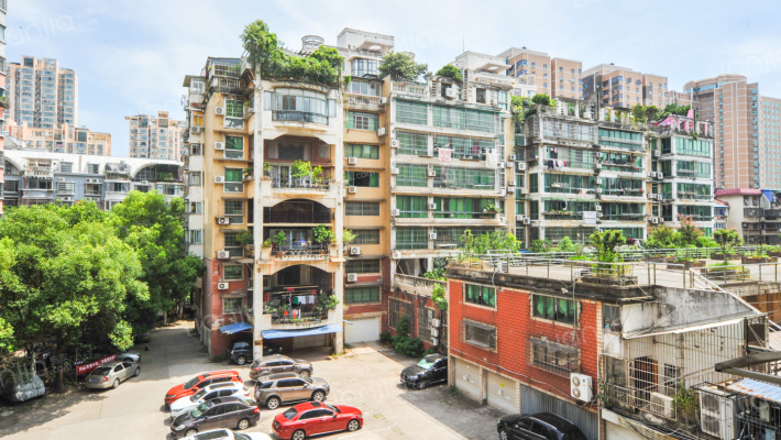 桃苑湖庭外景图