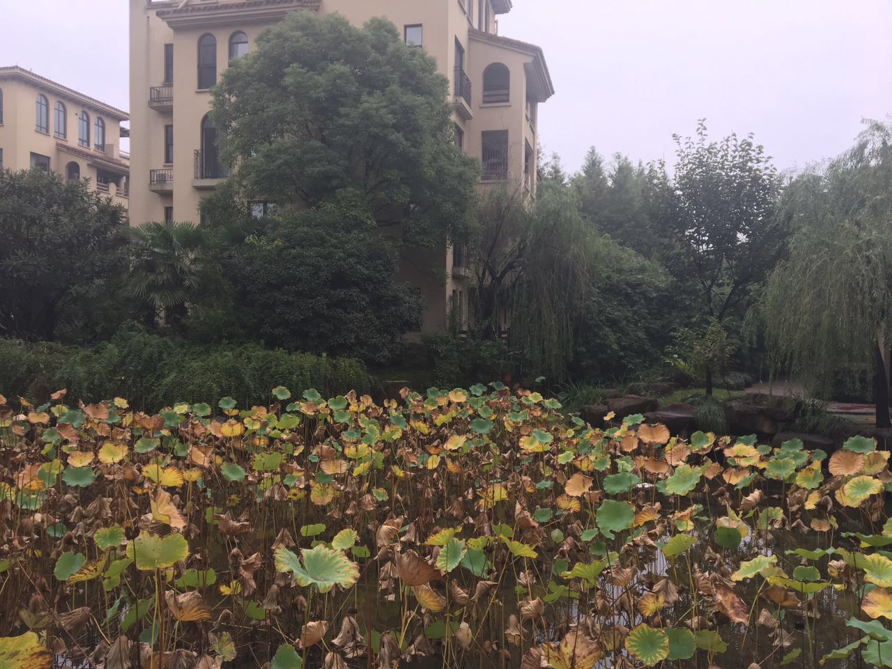 戈雅公寓 小区实景 19