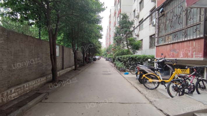 河南省社会科学院家属院外景图