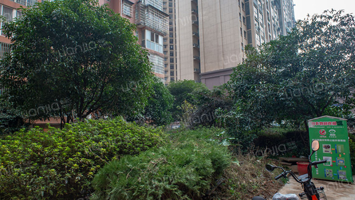 银港佳园外景图