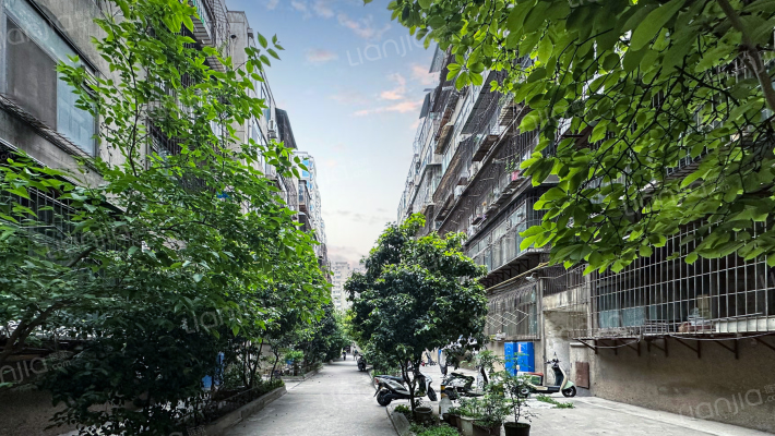 碑林区和平路东三道巷1号外景图
