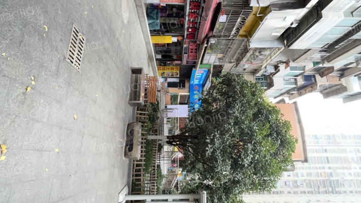 护国路180号外景图