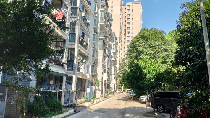 中奇银莲花园外景图