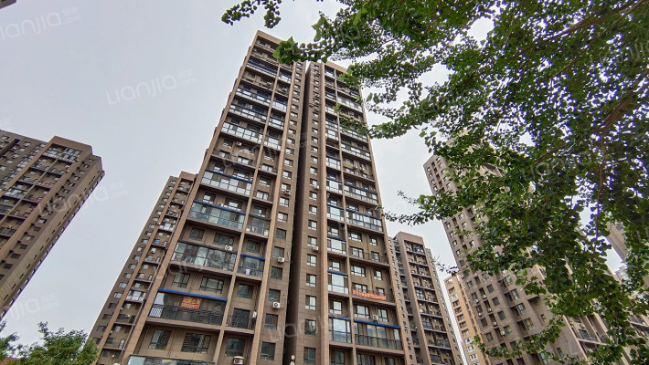 景星花园外景图