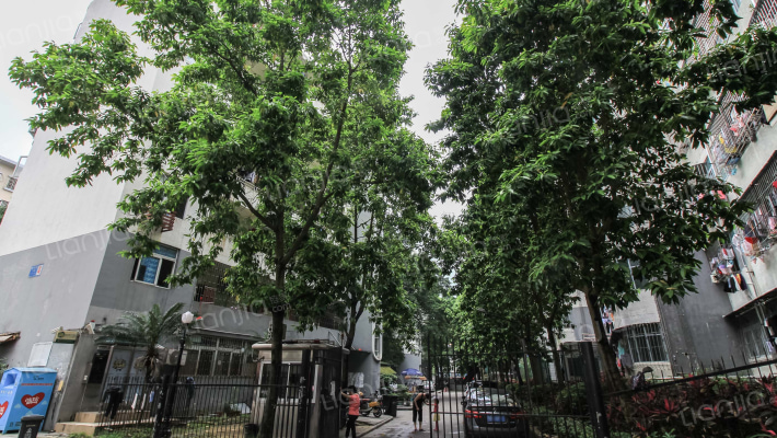 金桐公寓外景图