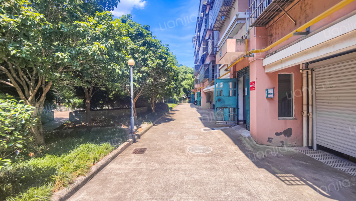 小白山水外景图