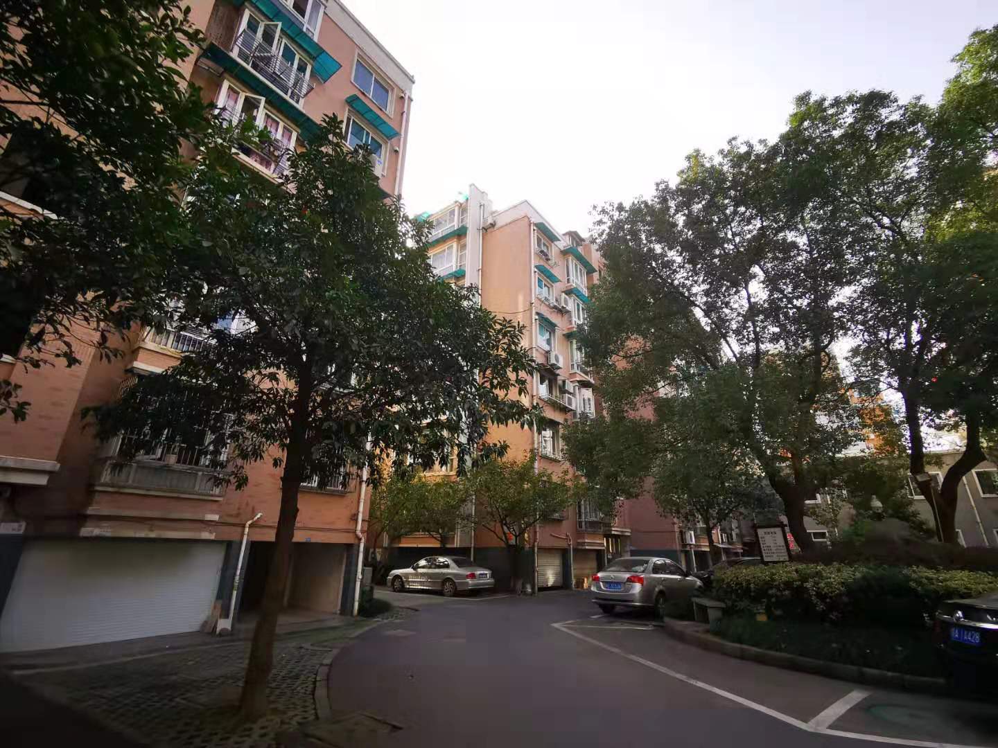 金城花园小区实景 6