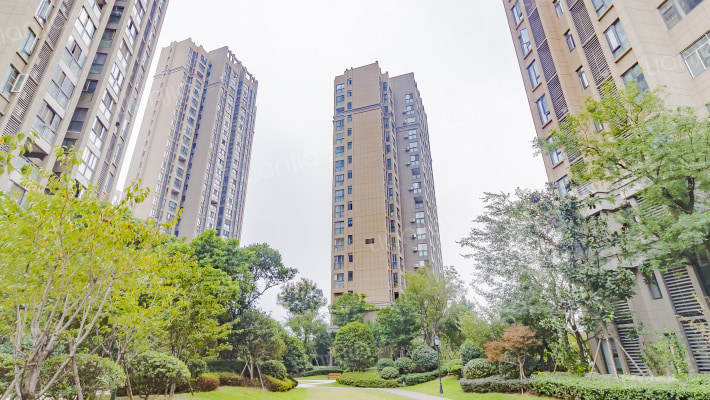 中大长江紫都六期外景图