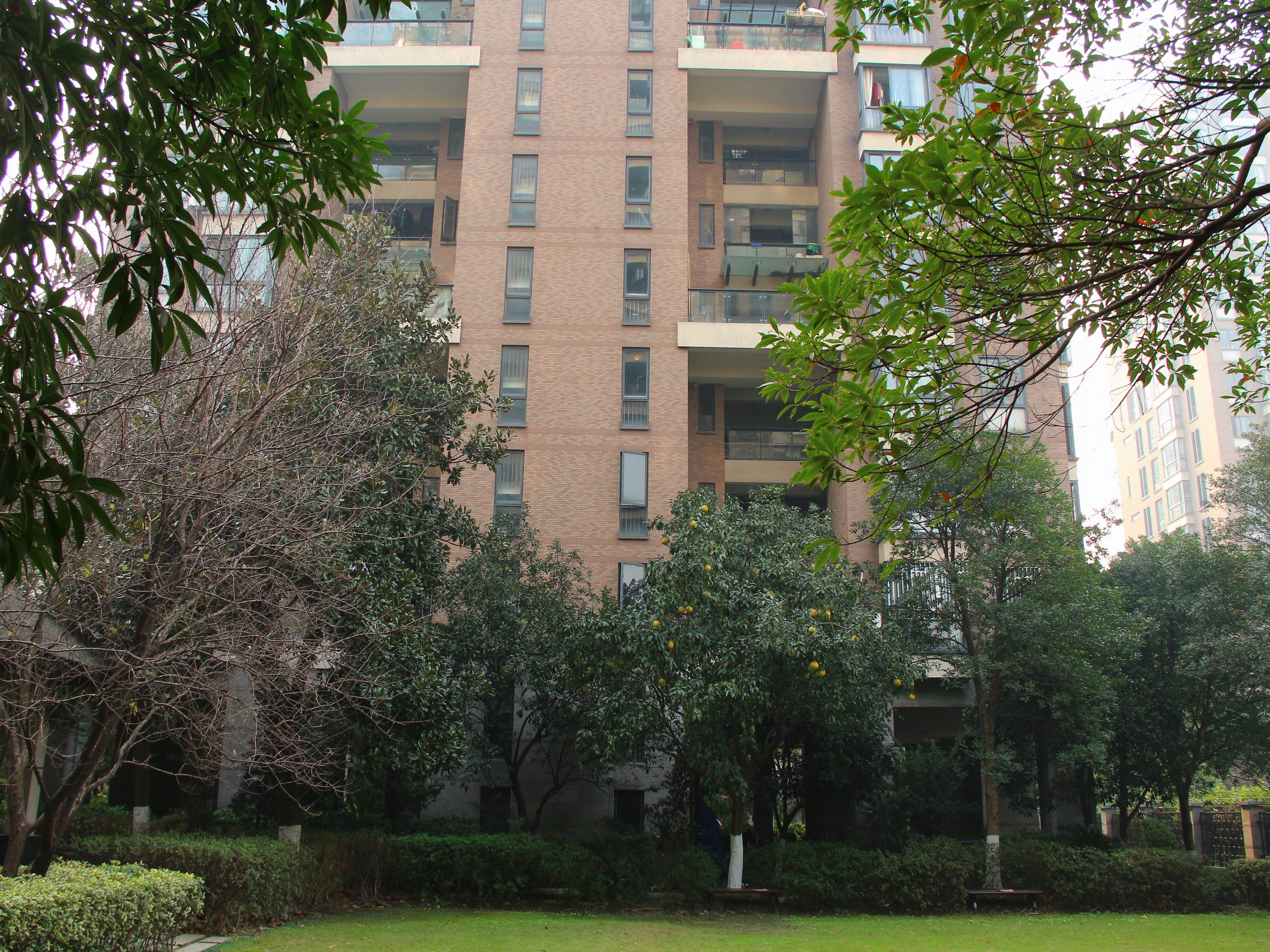 New Century City compound photo 23