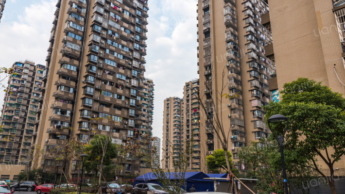 望江新园一园外景图