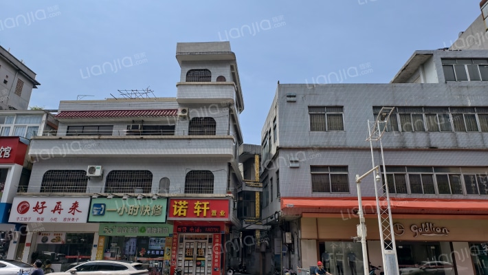 石龙绿化中路外景图