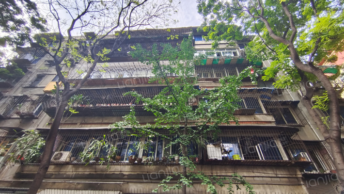 光明巷12号外景图