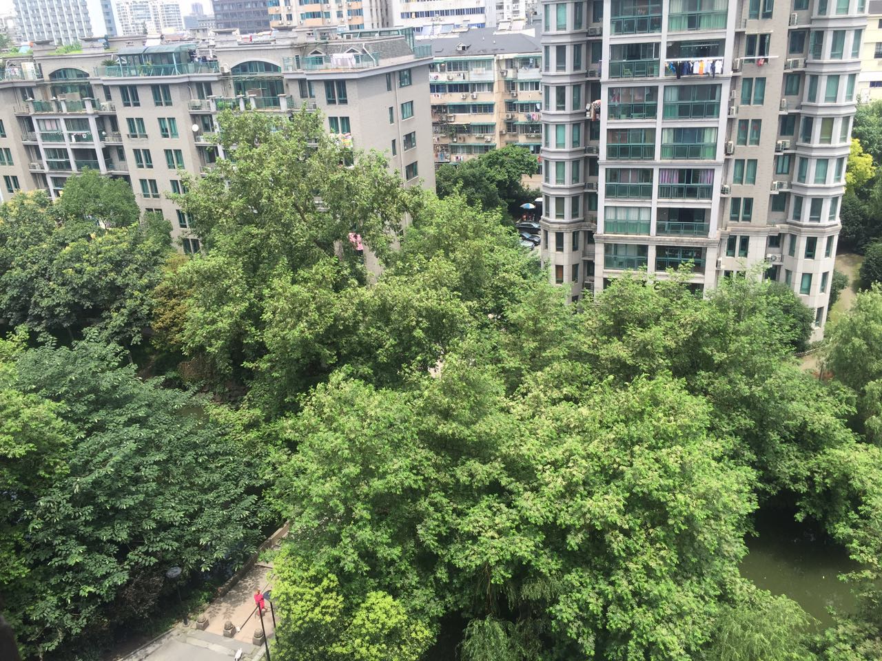 浅水湾城市花园小区实景 22