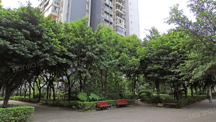 锦绣北滨外景图