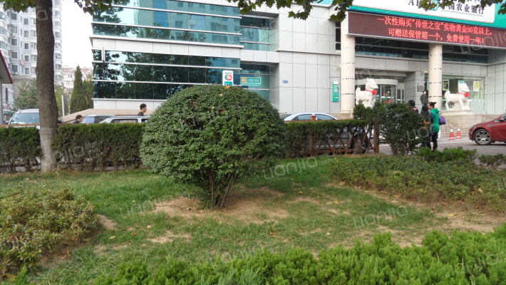 香岛大厦外景图