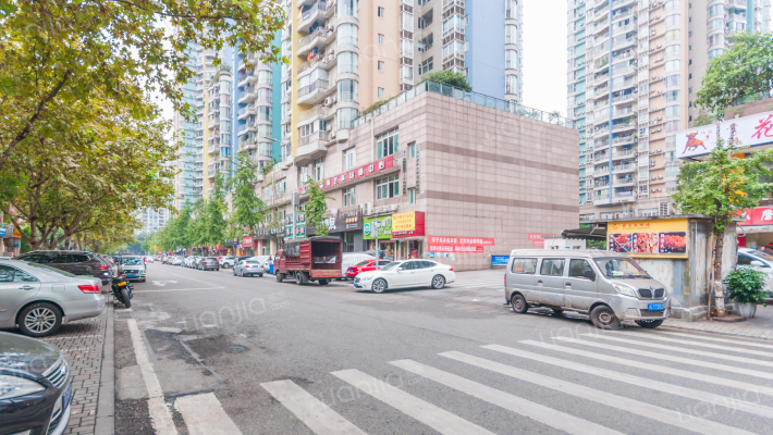 渝安龙都外景图