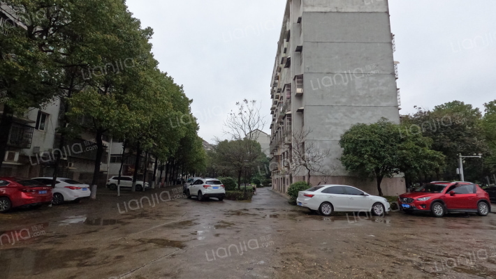 丰泽小区外景图