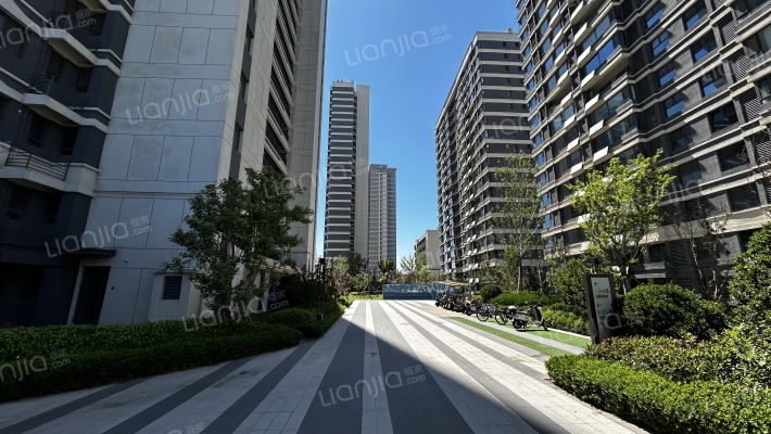 幸福·金茂悦外景图