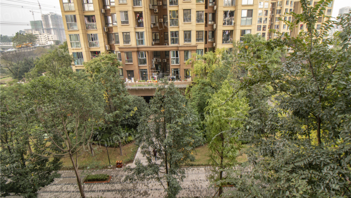 远洋香派外景图