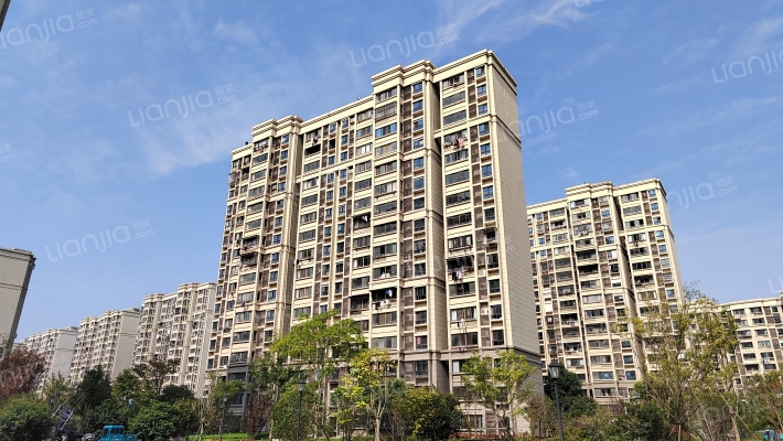 大丰景苑D区外景图