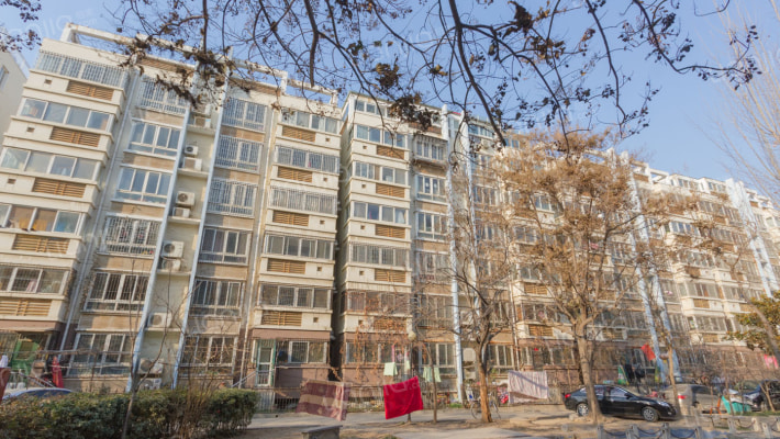 枫林花苑外景图