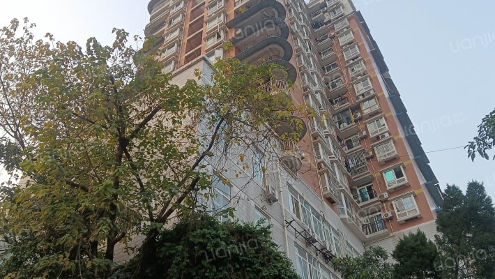 金色年代外景图