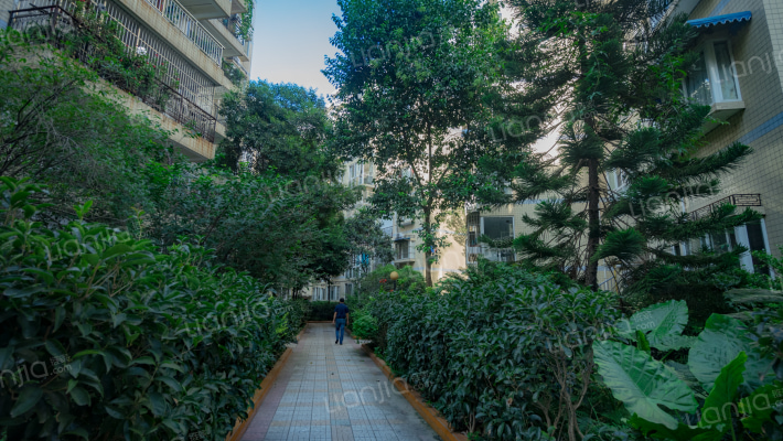 锦洲花园外景图