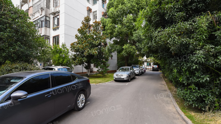 琥珀花园村外景图