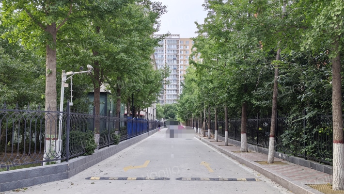 橄榄家园外景图