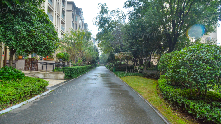 金科中央御院一期外景图