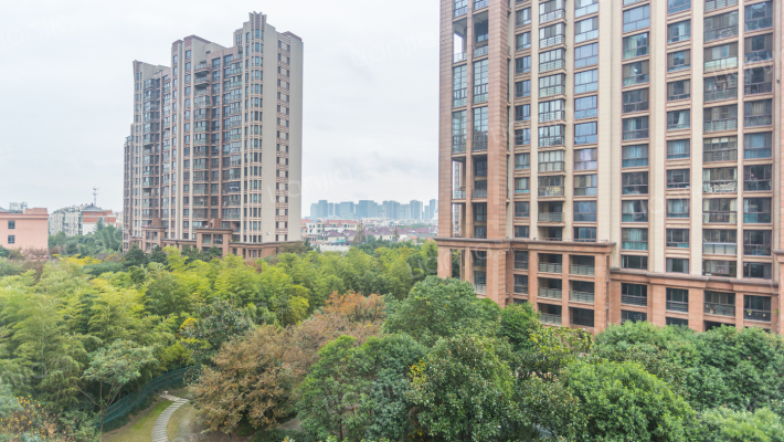 天成佳园外景图