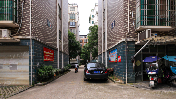 澄碧湖阳光外景图