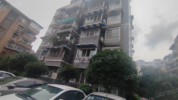 正北上街146号外景图