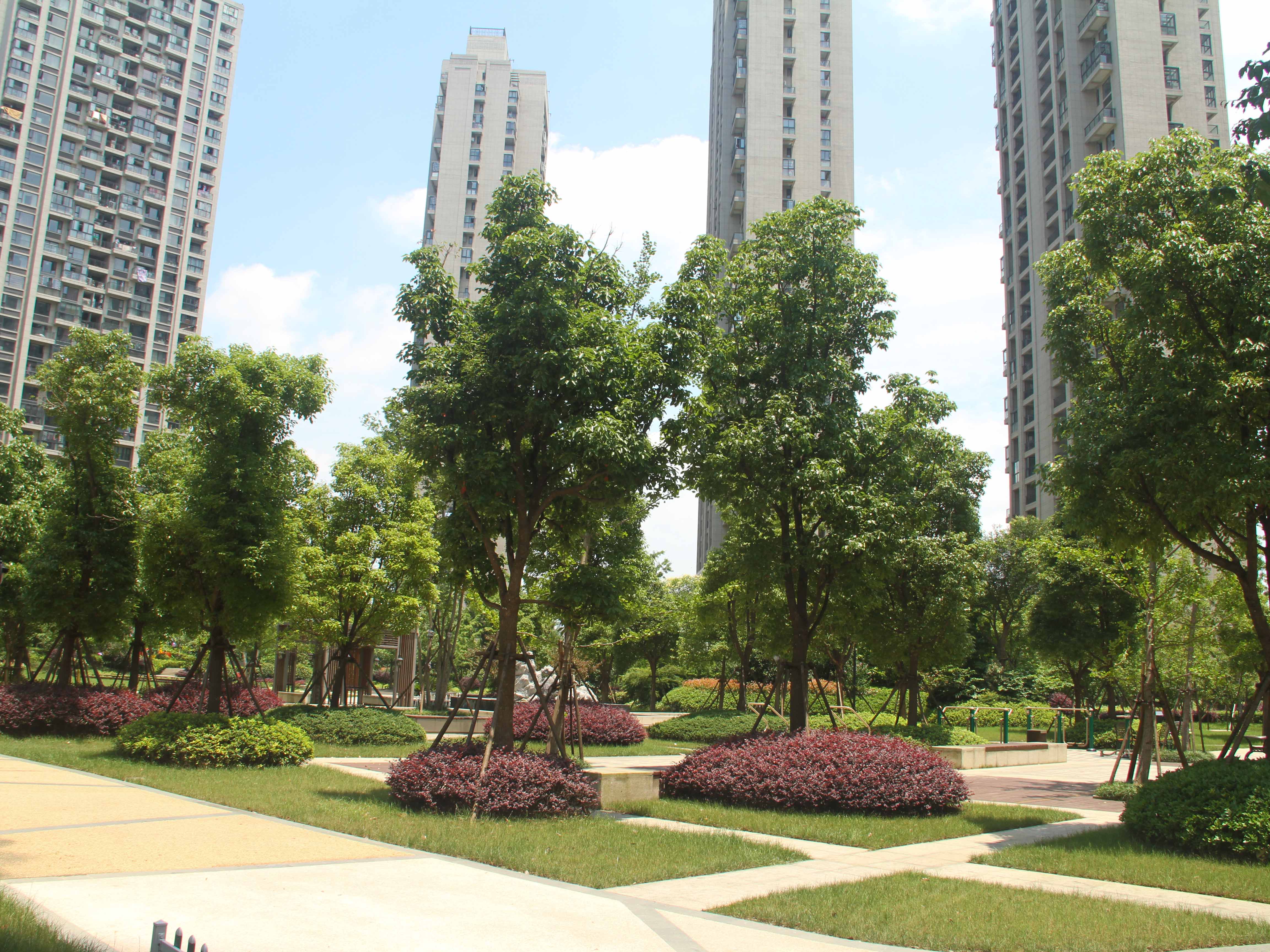 寰宇天下小区实景 14
