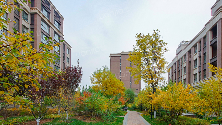 金地朗悦沁园外景图